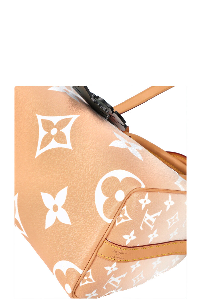 LOUIS VUITTON Speedy 25 By The Pool Rose