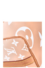 LOUIS VUITTON Speedy 25 By The Pool