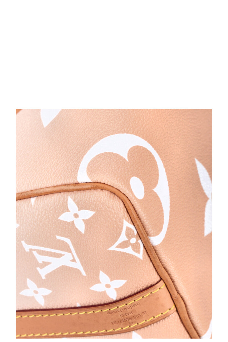 LOUIS VUITTON Speedy 25 By The Pool