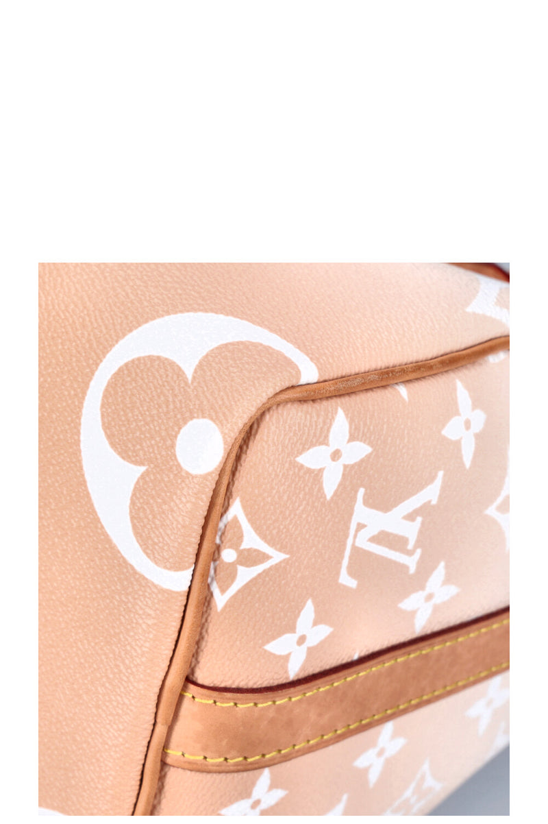 LOUIS VUITTON Speedy 25 By The Pool