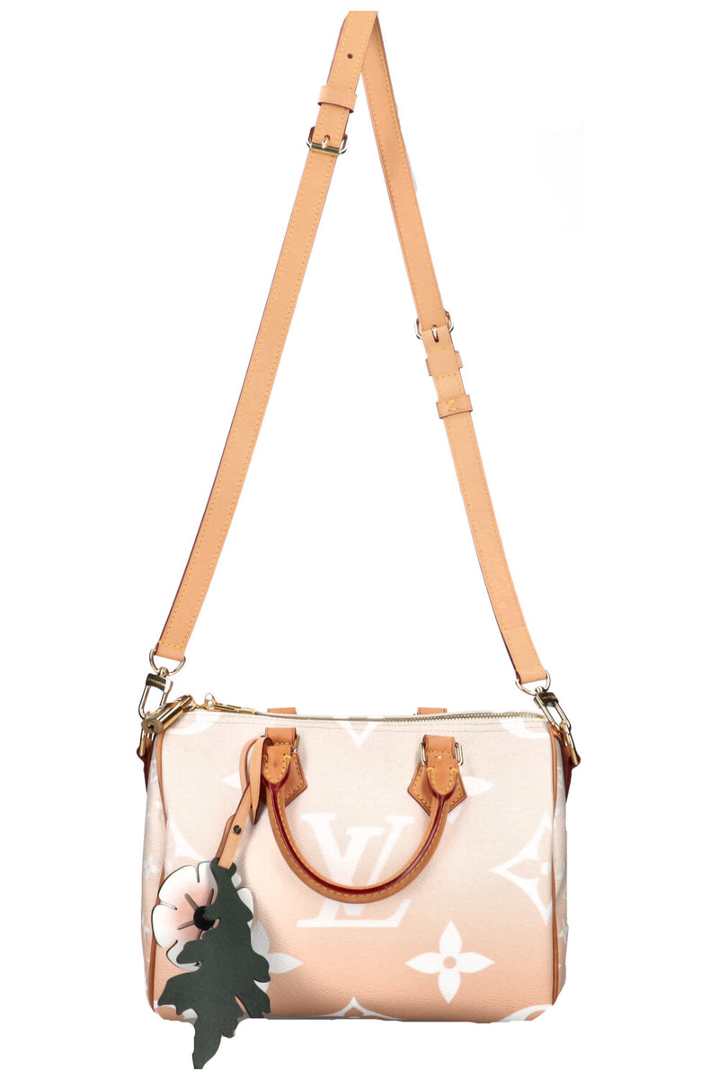 LOUIS VUITTON Speedy 25 By The Pool