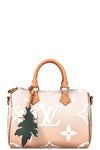 LOUIS VUITTON Speedy 25 By The Pool