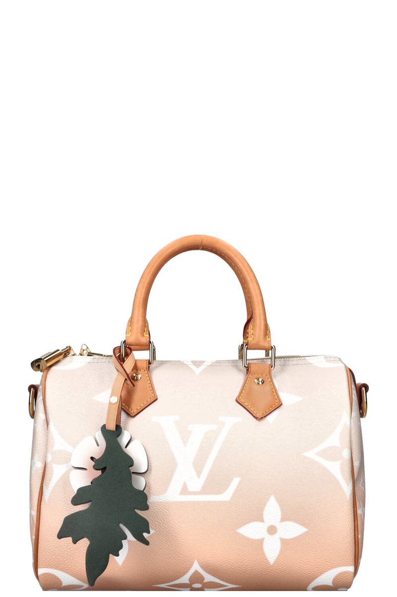LOUIS VUITTON Speedy 25 By The Pool