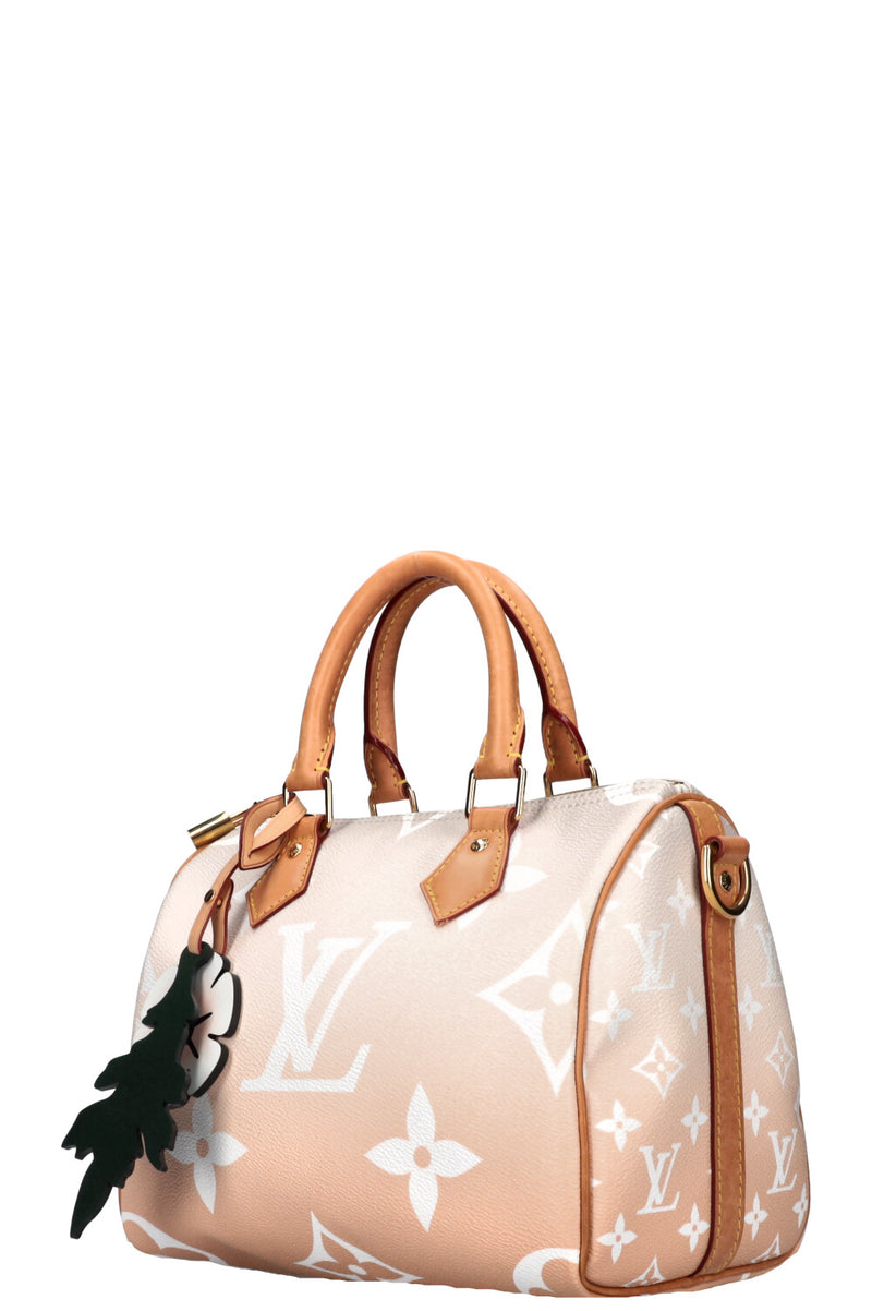 LOUIS VUITTON Speedy 25 By The Pool
