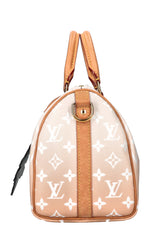 LOUIS VUITTON Speedy 25 By The Pool