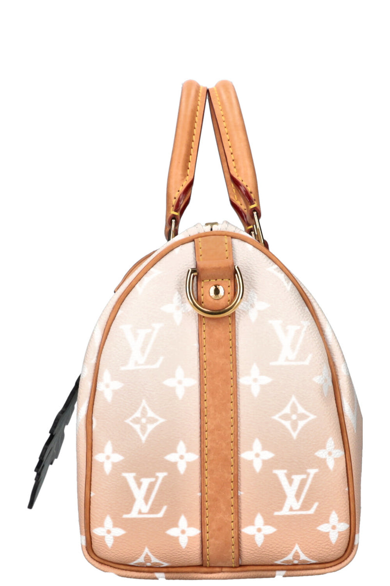 LOUIS VUITTON Speedy 25 By The Pool