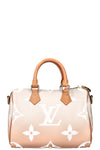 LOUIS VUITTON Speedy 25 By The Pool
