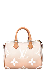 LOUIS VUITTON Speedy 25 By The Pool