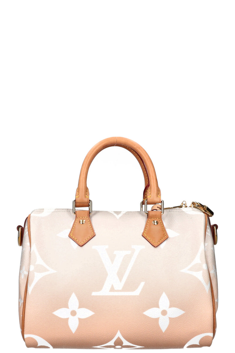 LOUIS VUITTON Speedy 25 By The Pool