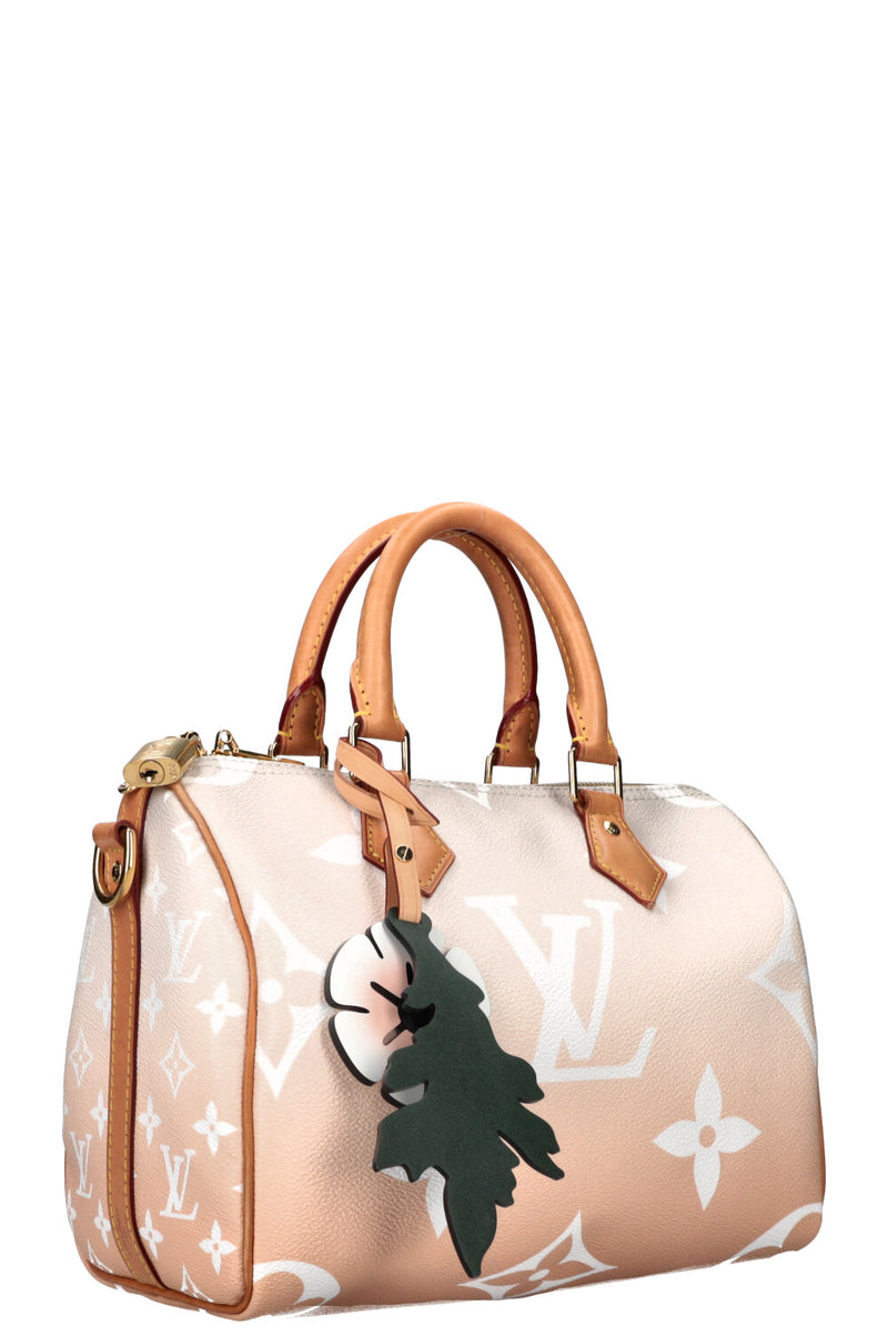 LOUIS VUITTON Speedy 25 By The Pool