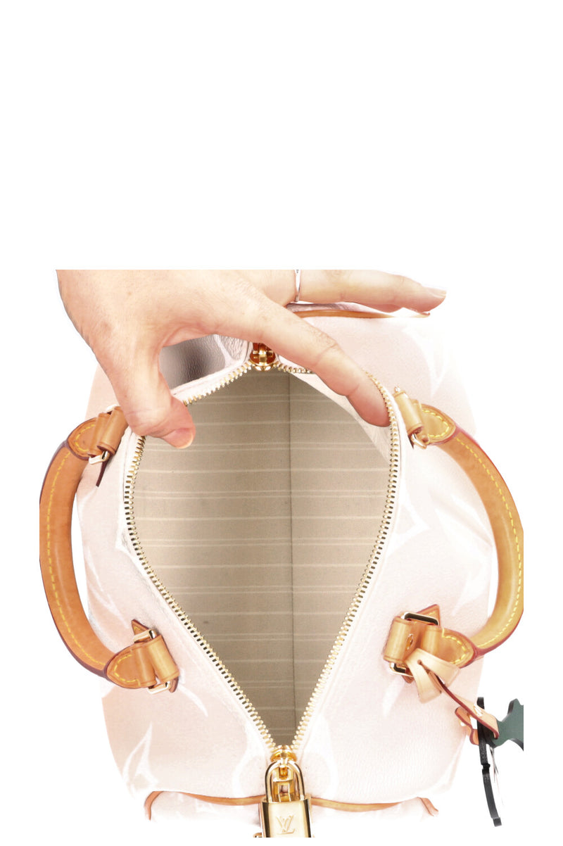 LOUIS VUITTON Speedy 25 By The Pool