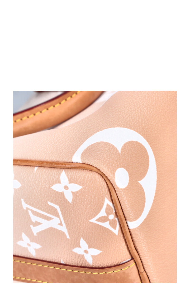 LOUIS VUITTON Speedy 25 By The Pool