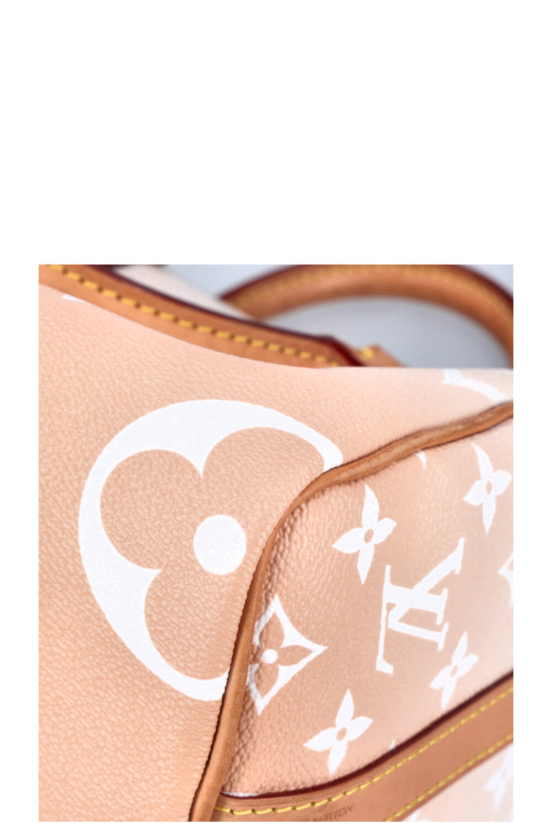 LOUIS VUITTON Speedy 25 By The Pool