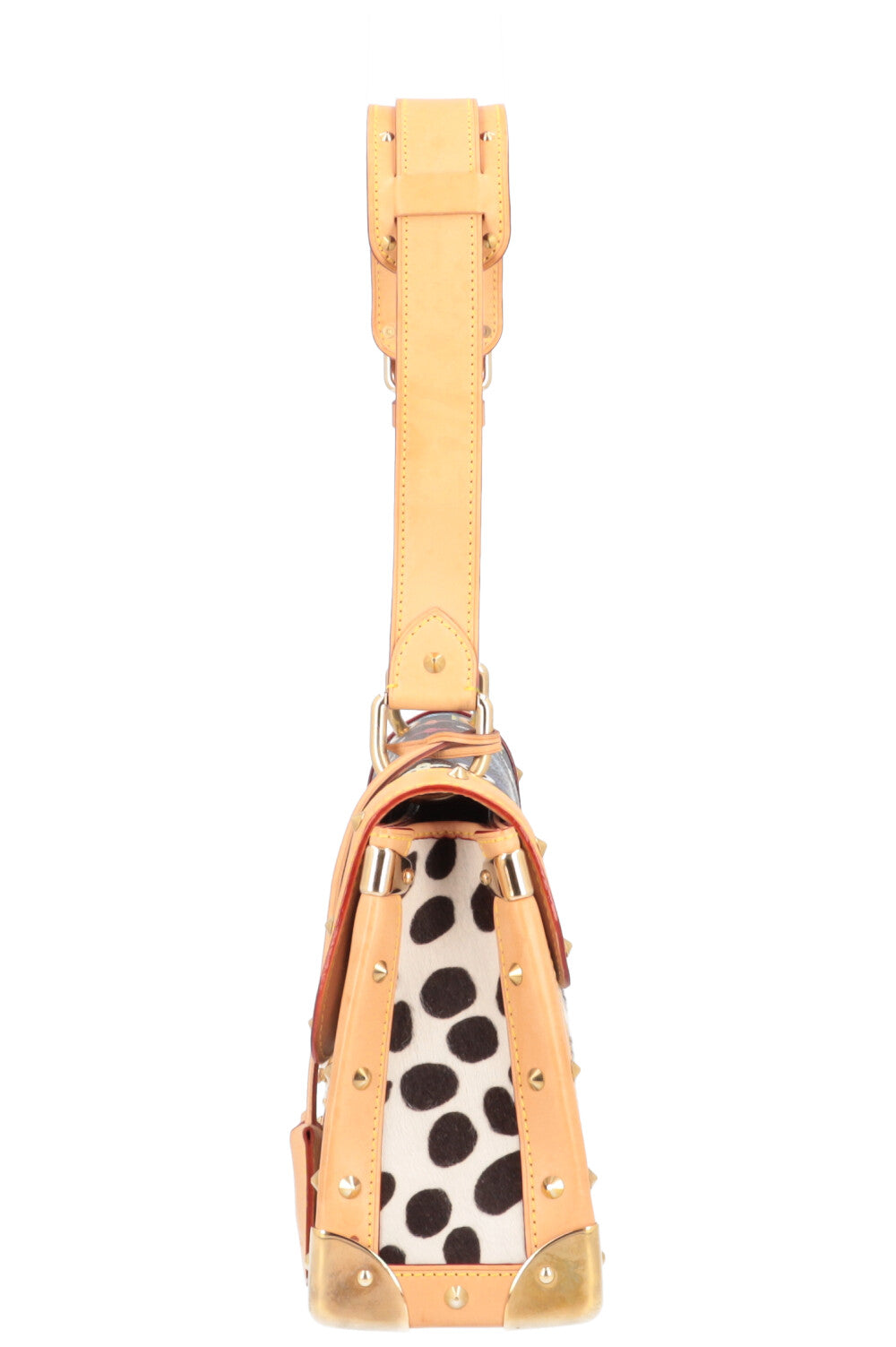 LOUIS VUITTON MNG Dalmatian Bag – REAWAKE