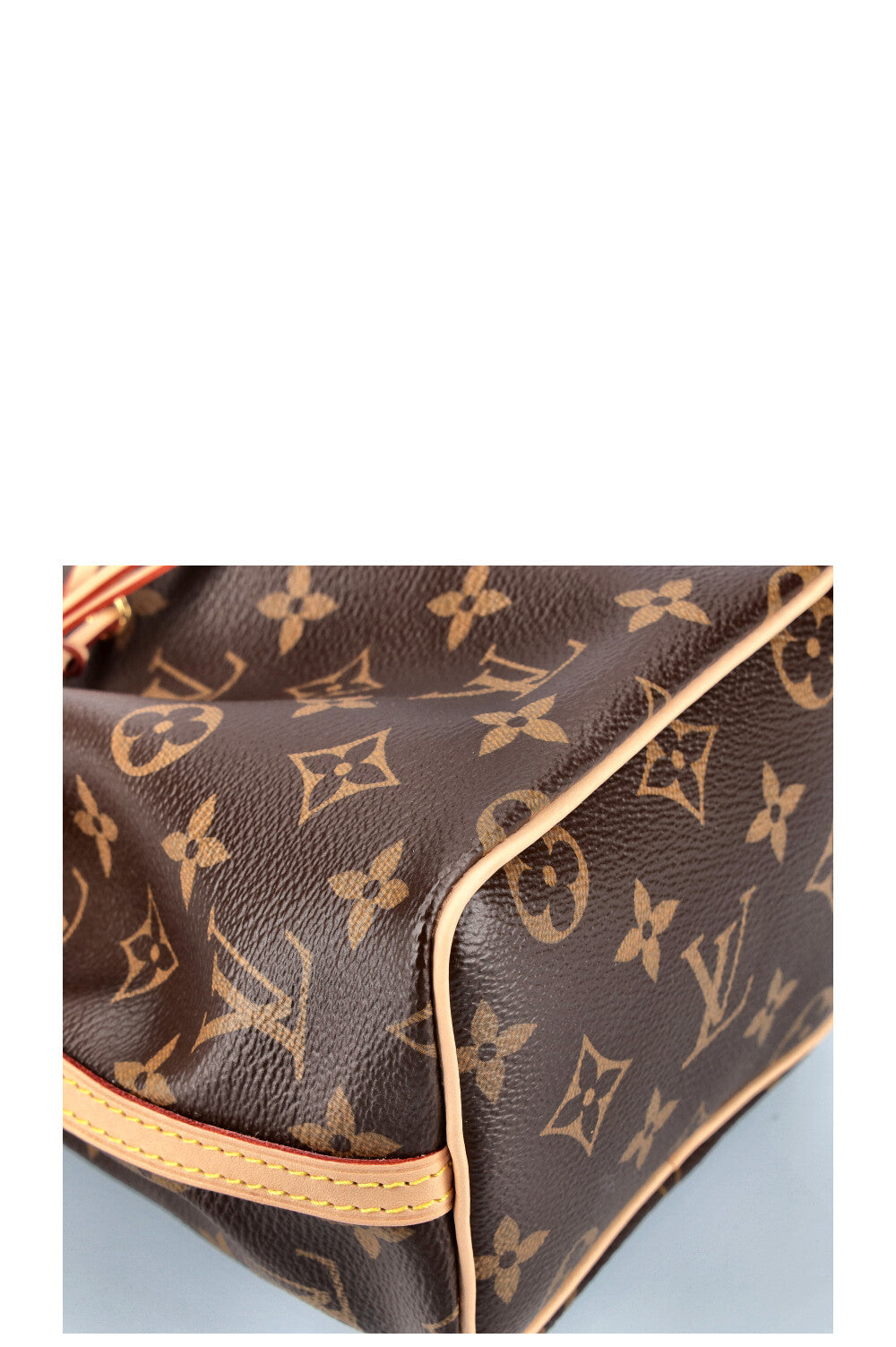 LOUIS VUITTON Nano Noe Canvas MNG