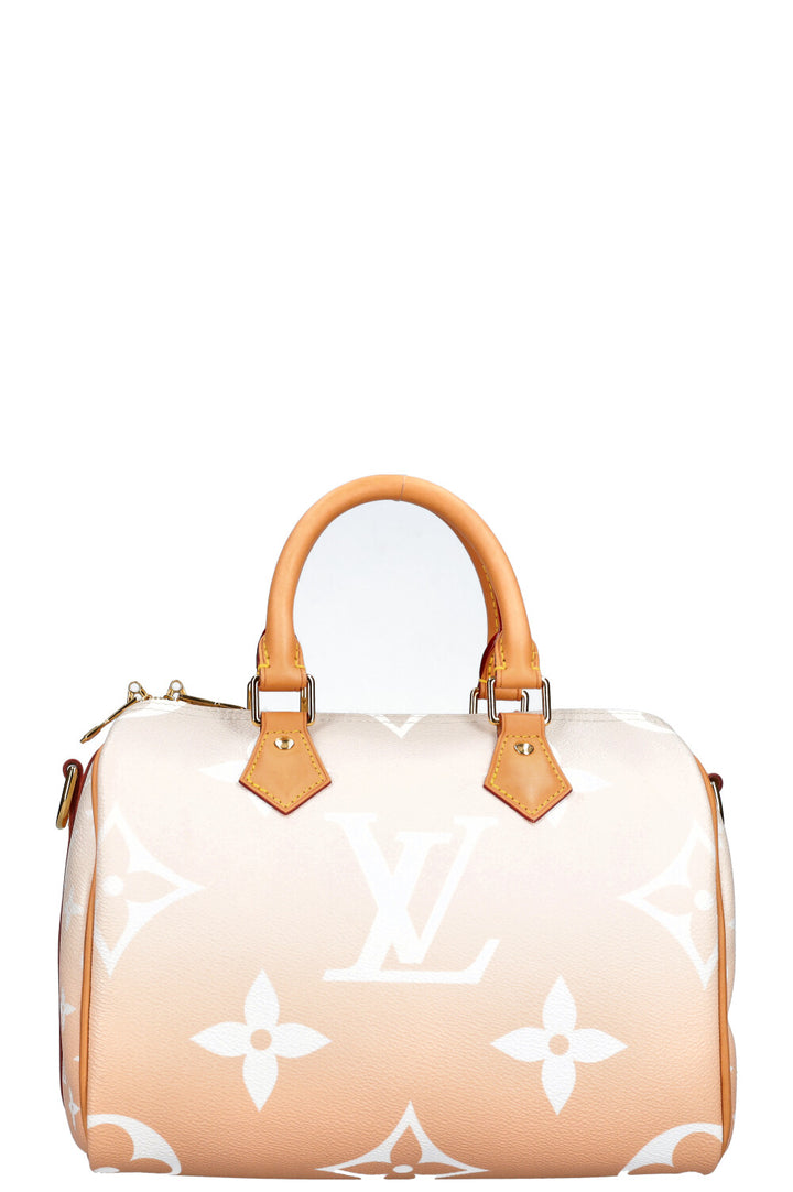 LOUIS VUITTON By the Pool Speedy 25