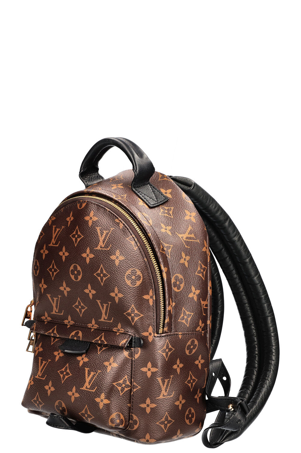 LOUIS VUITTON Palm Springs PM Backpack Canvas MNG