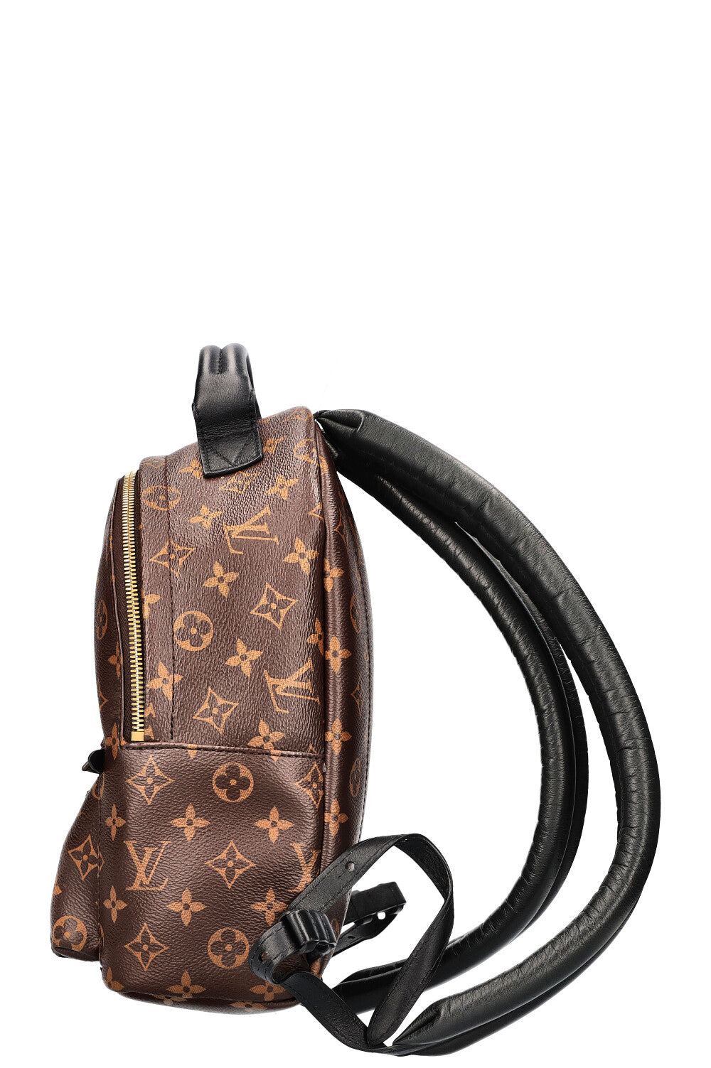 LOUIS VUITTON Palm Springs PM Backpack Canvas MNG