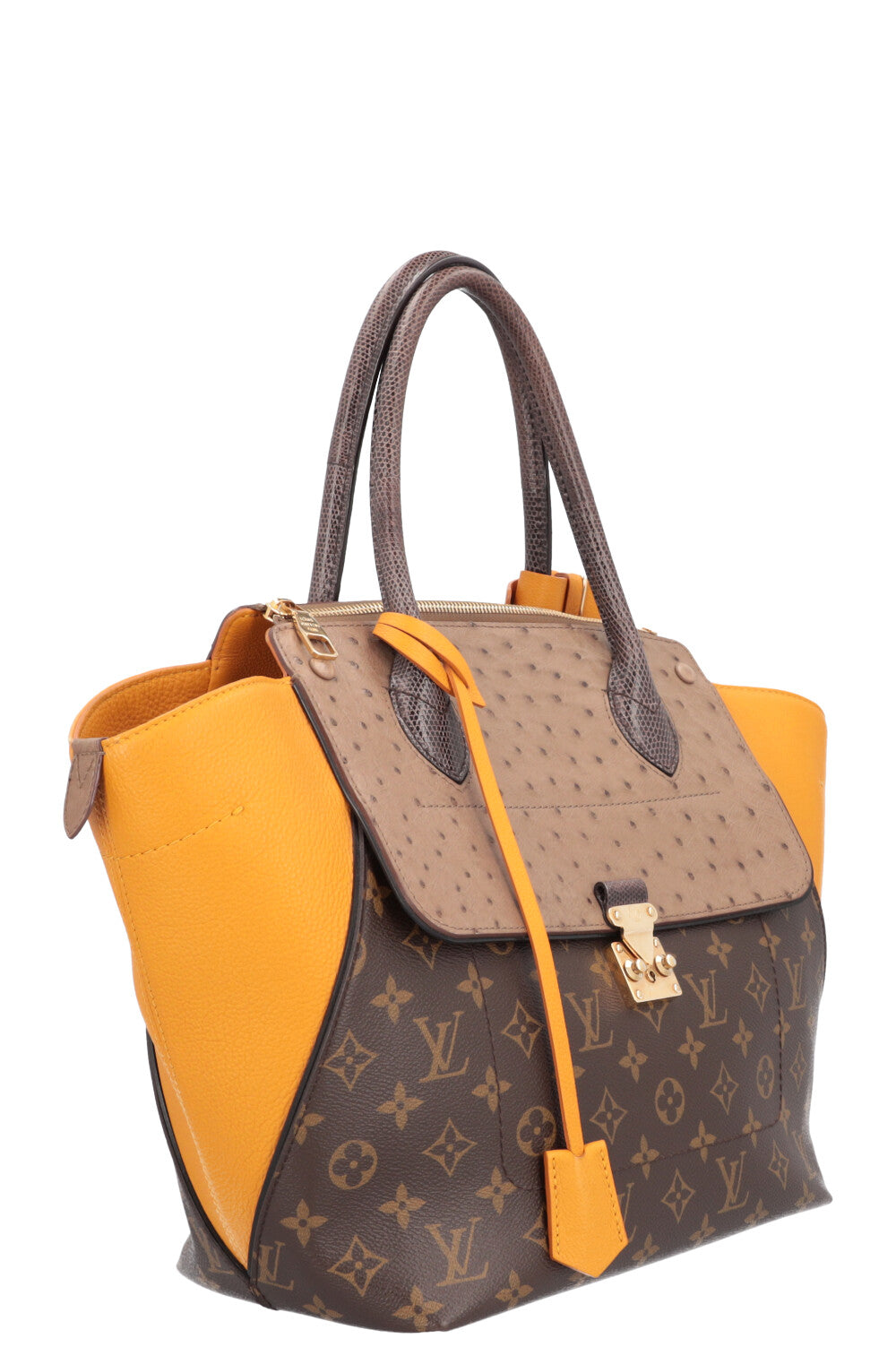 Tote w exotic leathers tote Louis Vuitton Multicolour in Exotic leathers -  33492190