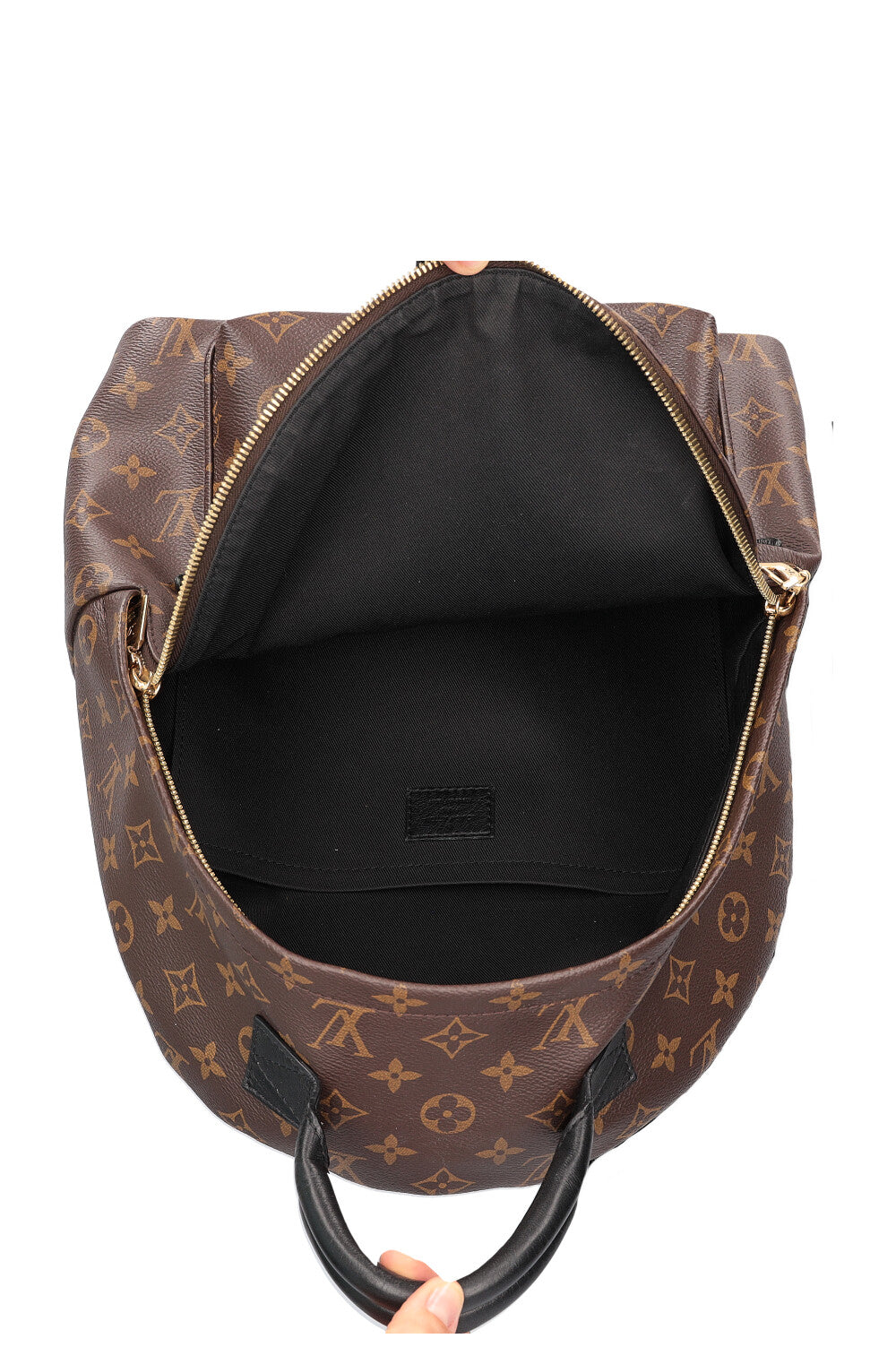 LOUIS VUITTON Palm Springs MM Backpack MNG