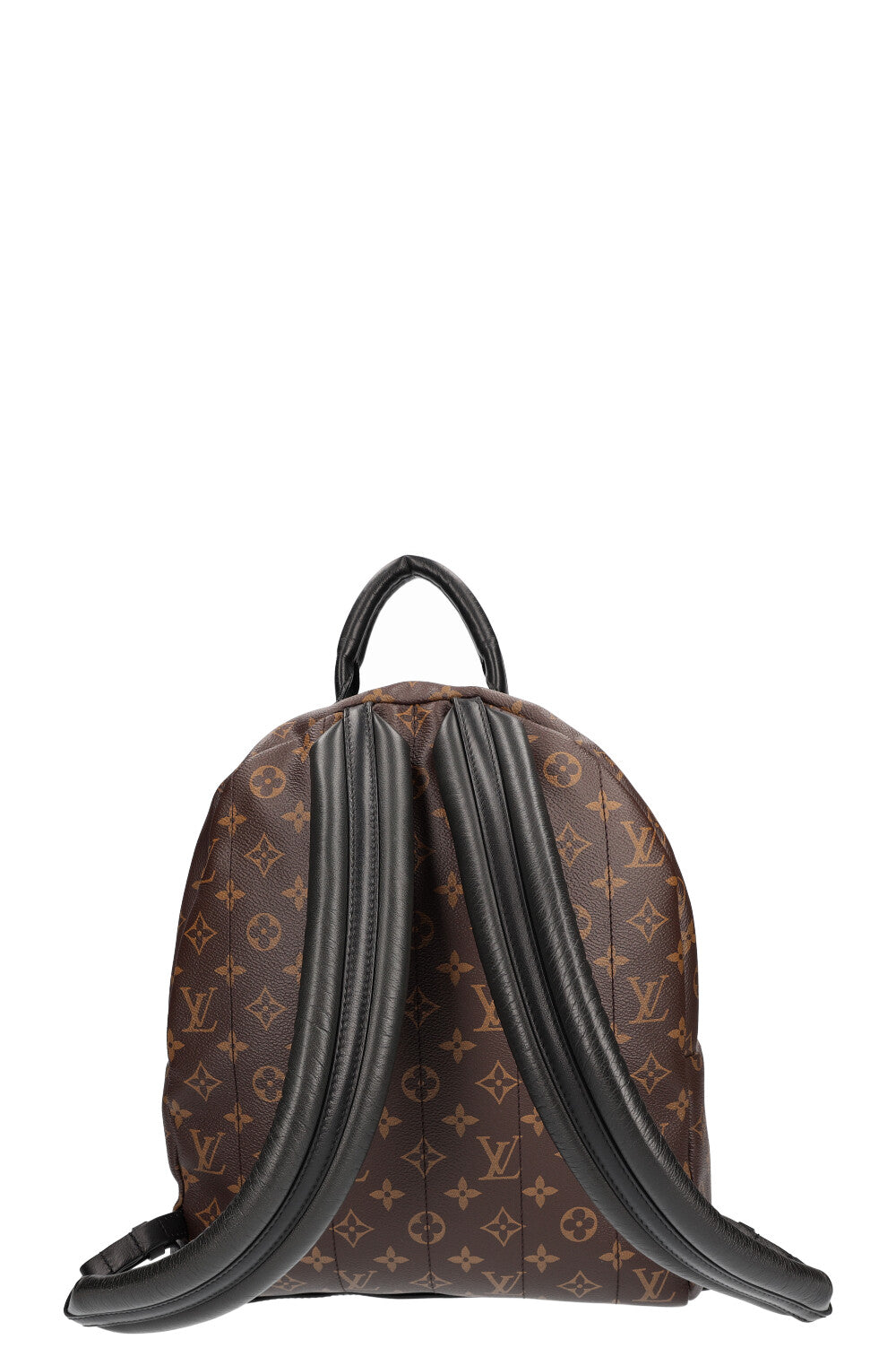 LOUIS VUITTON Palm Springs MM Backpack MNG