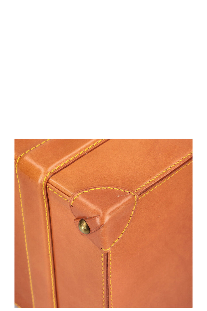 LOUIS VUITTON Nomade Pilot Case Cognac