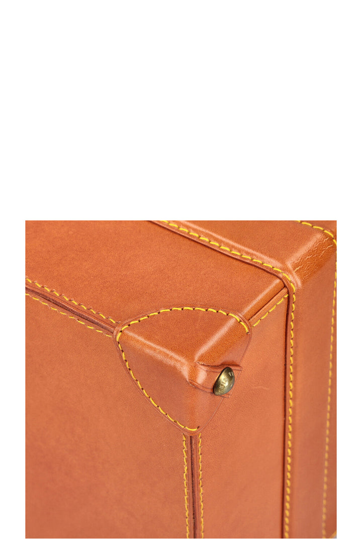 LOUIS VUITTON Nomade Pilot Case Cognac