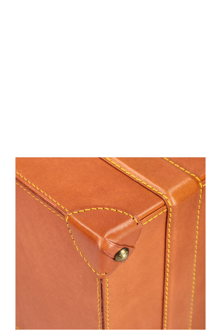LOUIS VUITTON Nomade Pilot Case Cognac