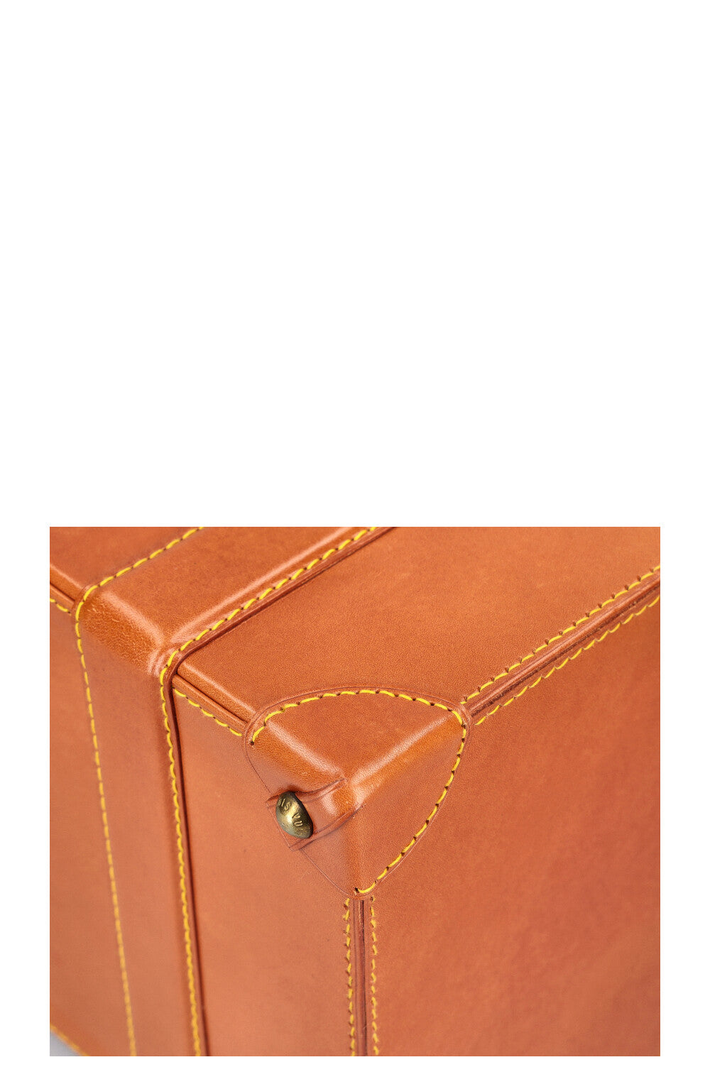 LOUIS VUITTON Nomade Pilot Case Cognac