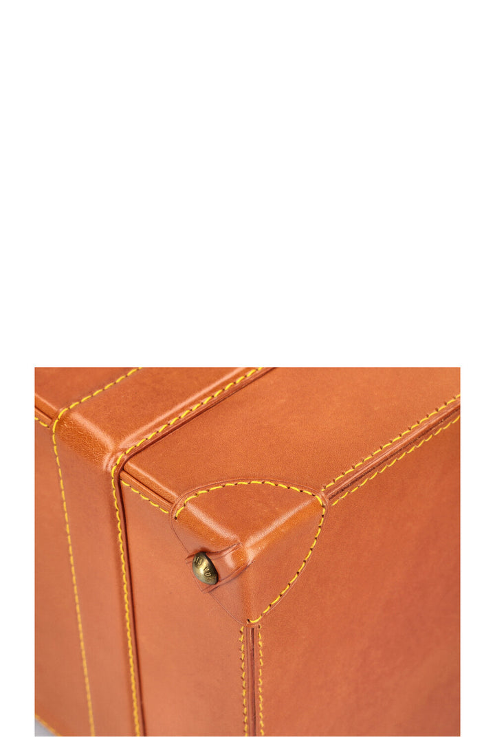 LOUIS VUITTON Nomade Pilot Case Cognac