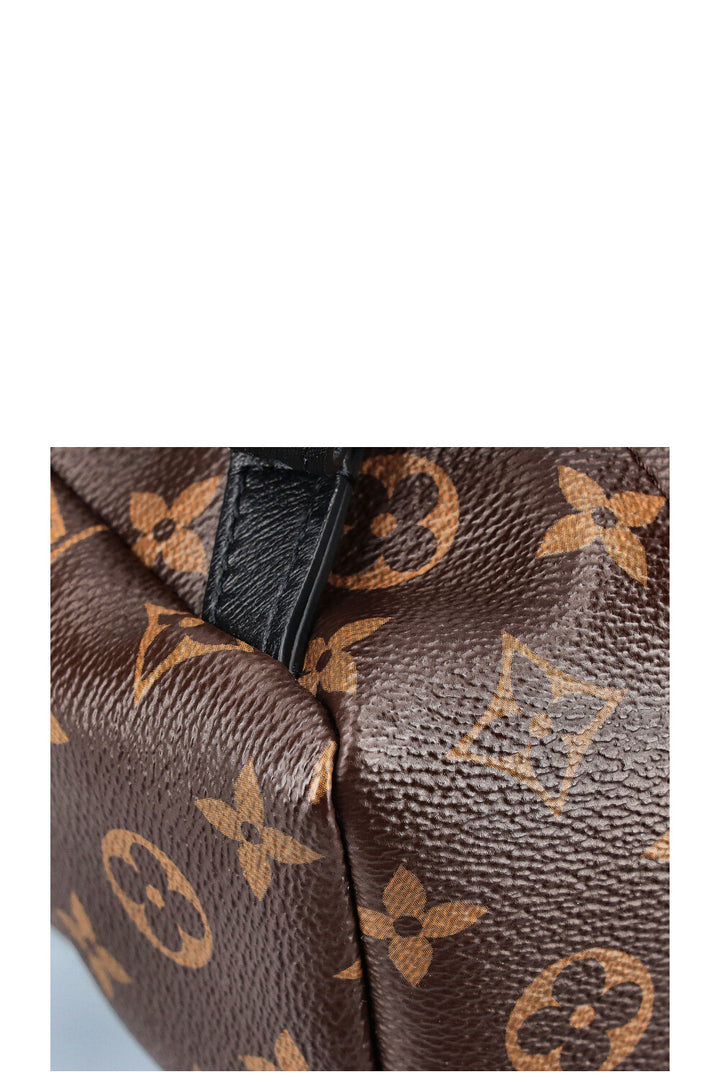 LOUIS VUITTON Palm Springs PM Canvas MNG