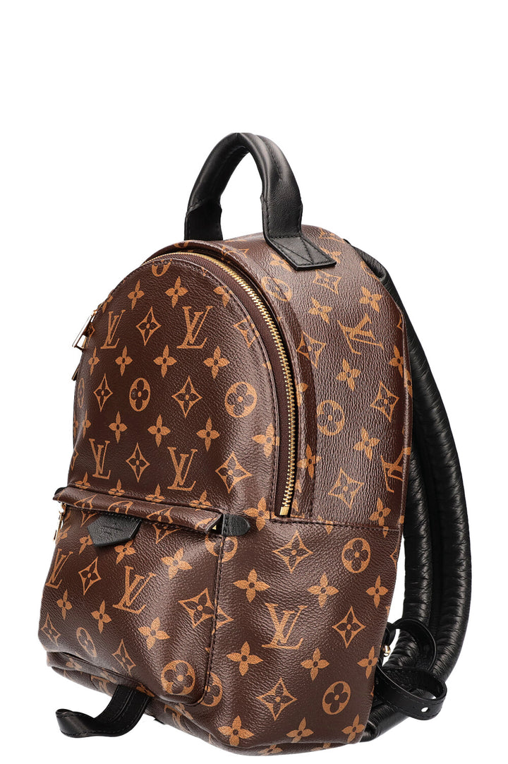 LOUIS VUITTON Palm Springs PM Canvas MNG