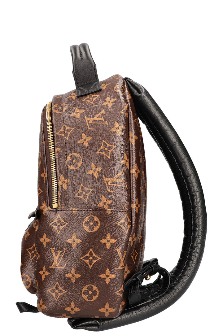 LOUIS VUITTON Palm Springs PM Canvas MNG