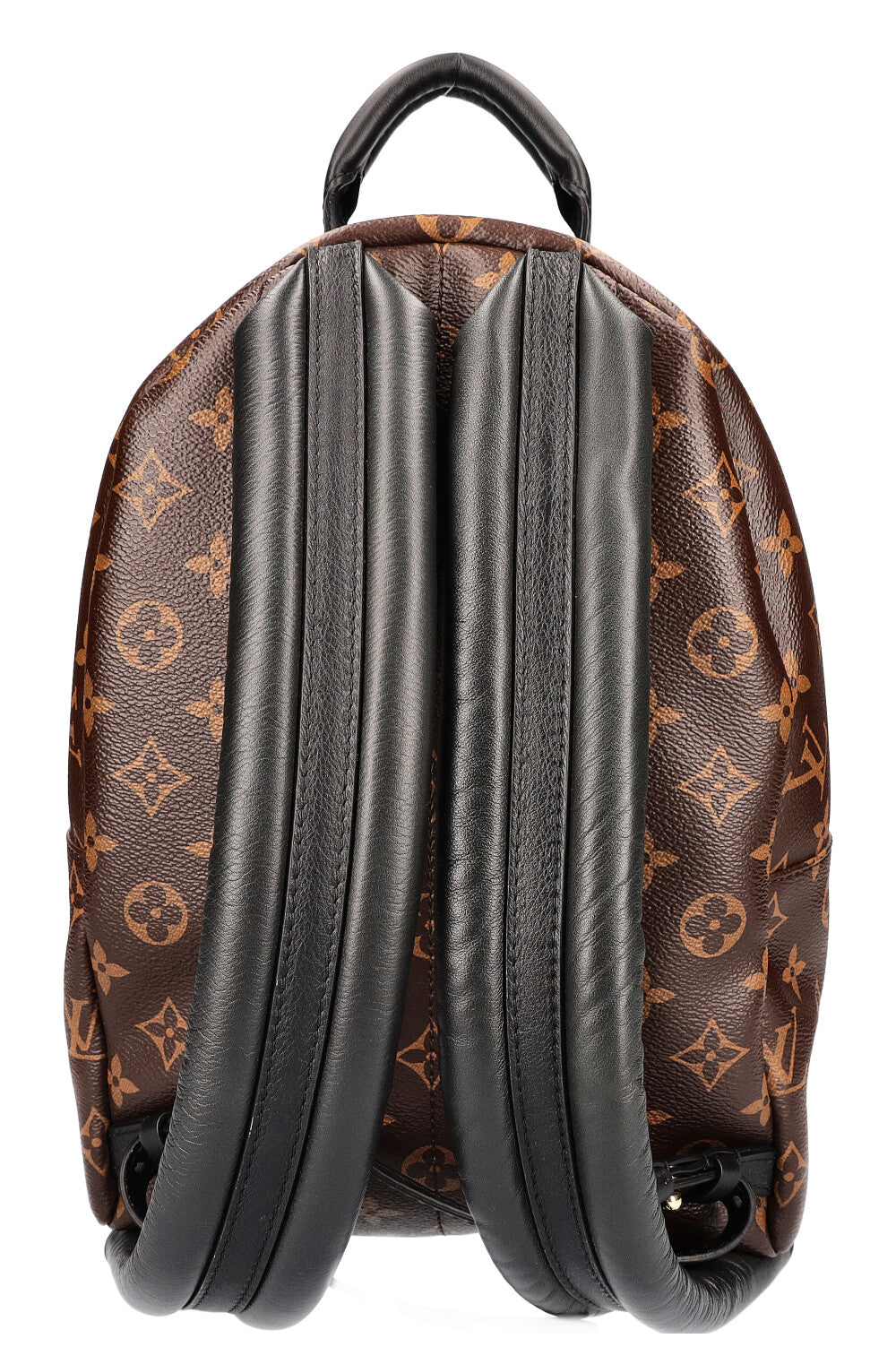 LOUIS VUITTON Palm Springs PM Canvas MNG
